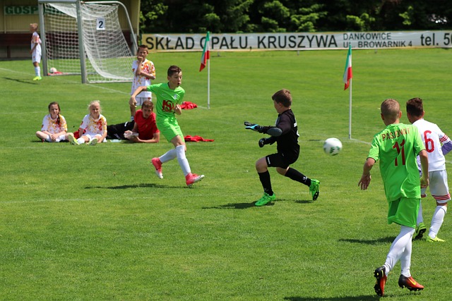 他凭借出色 他凭借出色